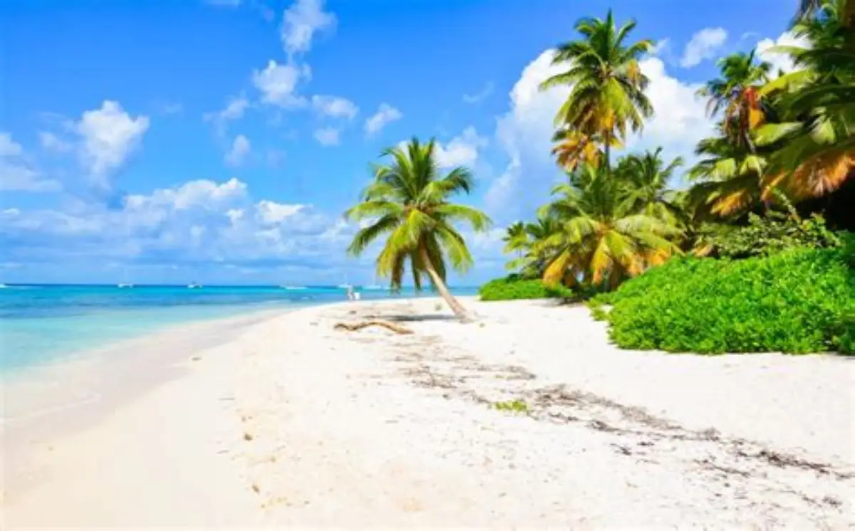 PIXA-PHOTO-2025-05-21-11-13-15_2